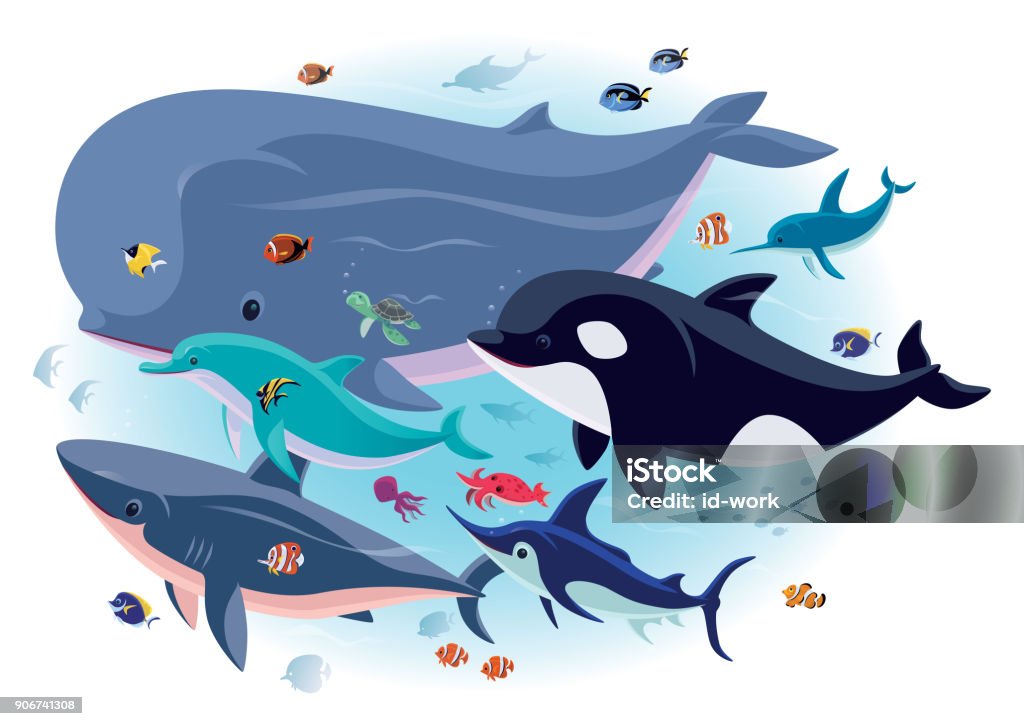 sea creatures with tropical fishes vector illustration of sea creatures gathering with tropical fishes Dolphin stock vector