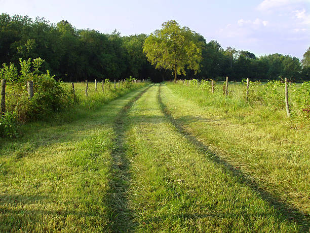 istock American Country Road - Rural Landscape 90674490
