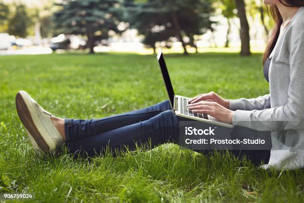Young Pensive Woman Using Laptop In Park Stock Photo - Download Image Now - Outdoors, Natural Parkland, Laptop
