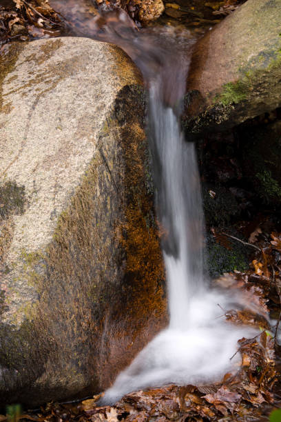istock beautiful streaming flow, river waterfall in long exposure in fall season 906762064