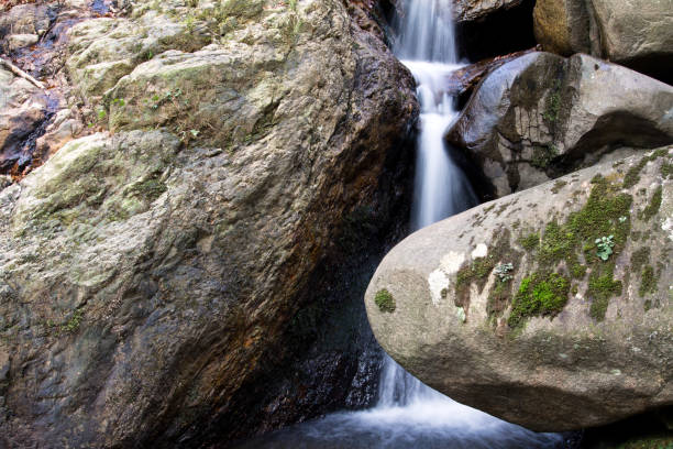 istock beautiful streaming flow, river waterfall in long exposure in fall season 906762504