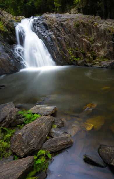 istock Crystal Cascades waterfall in Cairns, Australia 906765524