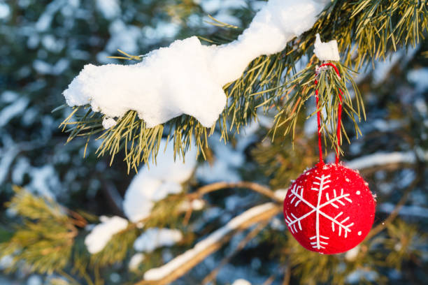 istock Christmas decoration on winter tree, close up 906766322