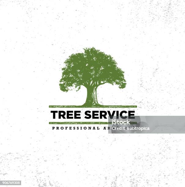 Professional Arborist Tree Care Service Organic Eco Sign Concept Landscaping Design Raw Vector Illustration Stock Illustration - Download Image Now