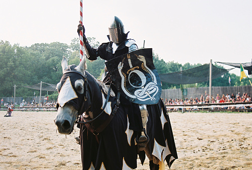 Jousting Knight