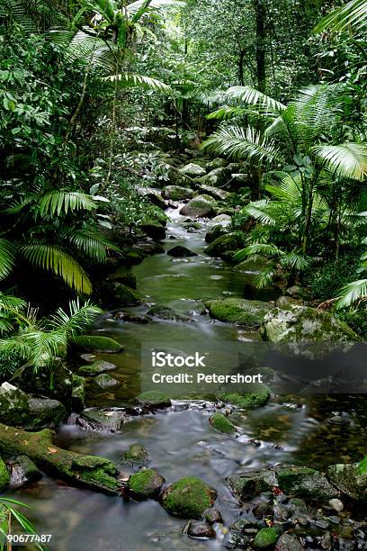 Silkystream Stockfoto und mehr Bilder von Australien - Australien, Bach, Baum