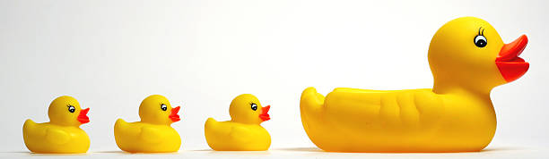 rubberducks - four animals four objects four people cleanup - fotografias e filmes do acervo