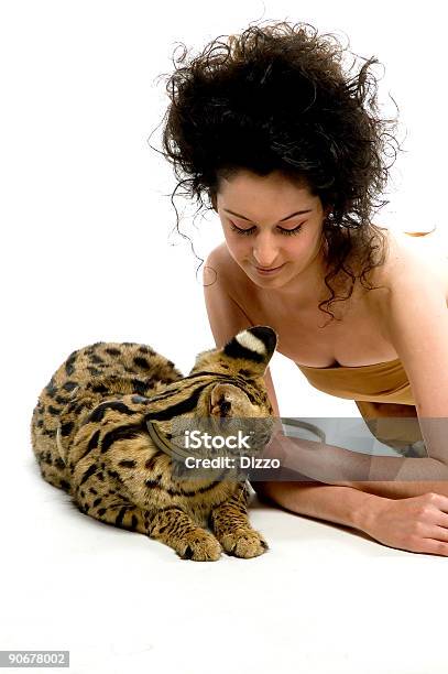 Animal Instinct 3 Stock Photo - Download Image Now - Adult, Adults Only,  Beautiful People - iStock