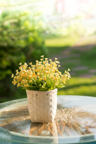 Yellow flower in white port on table with natural light