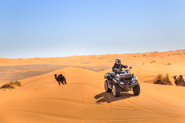 un cavaliere su un quad atv nel deserto del sahara. - off road vehicle quadbike quad racing motocross foto e immagini stock