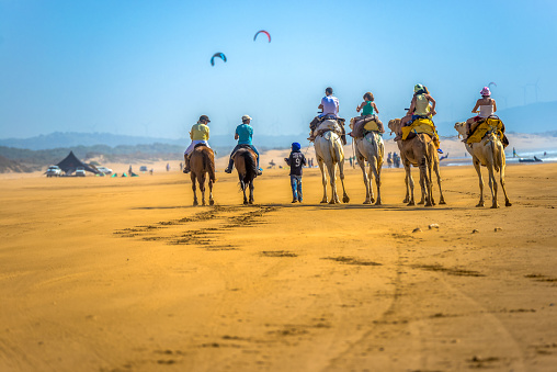 Essaouira, Morocco - August 15, 2013: Several tourists ride horses and camels at the sunny Moroccan seaside. Two hang gliders float above in a bright blue sky while a tent and more people with their vehicles can be seen in the distance.