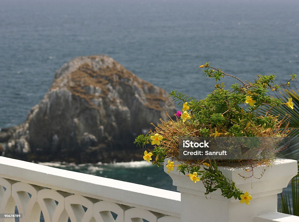 Ocean Blumen - Lizenzfrei Blau Stock-Foto