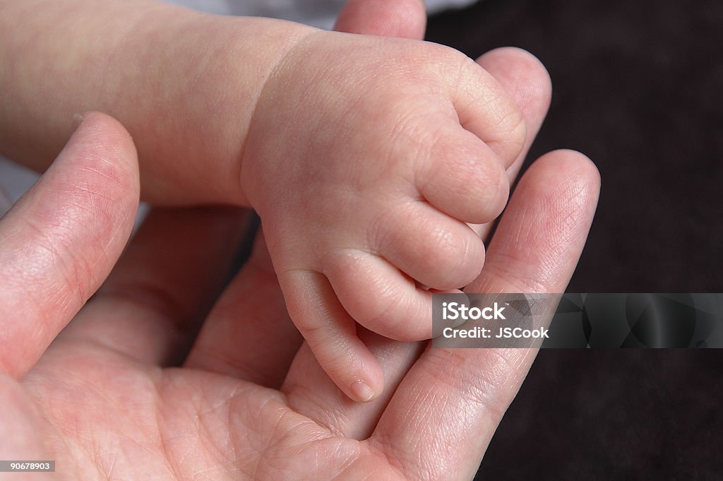 Bebé manos - Foto de stock de Amor - Sentimiento libre de derechos