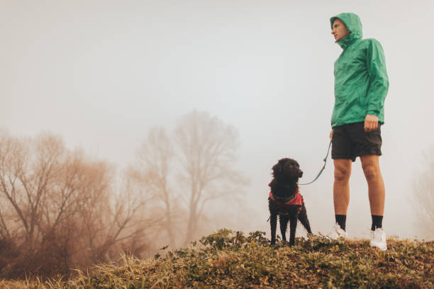 istock Young man and his dog in a morning walk 906791798