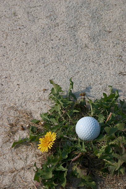 golfe, obstáculo - foursome imagens e fotografias de stock