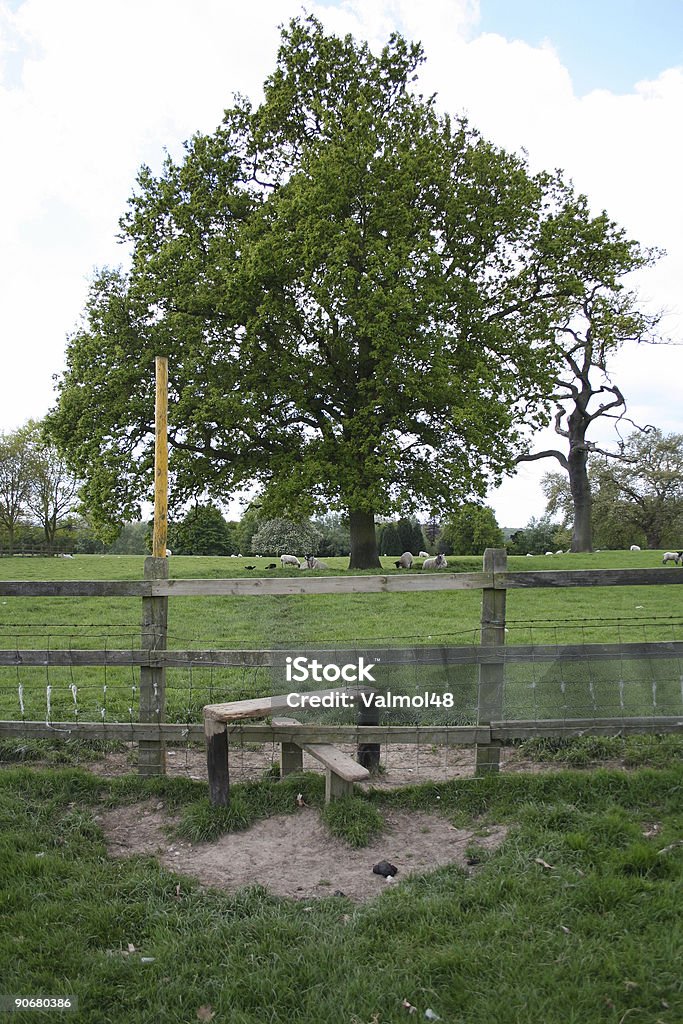 País de cruzar - Foto de stock de Aire libre libre de derechos