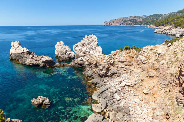 istock the sea on Palma de Mallorca 906803918