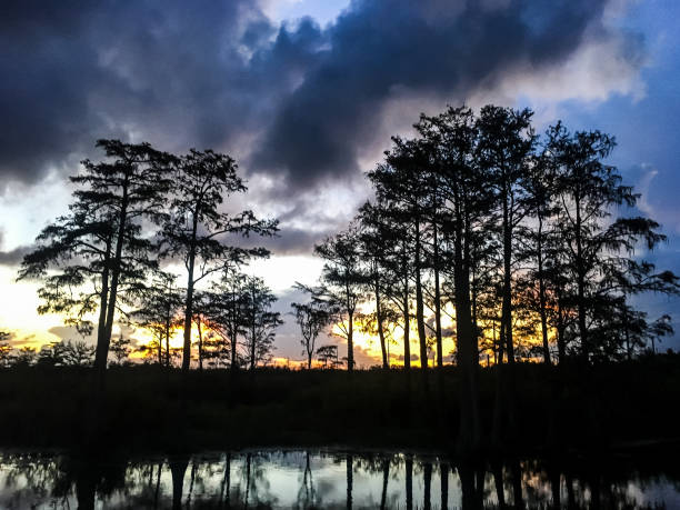 istock Reflection of vibrant sunset in a swamp 906810482