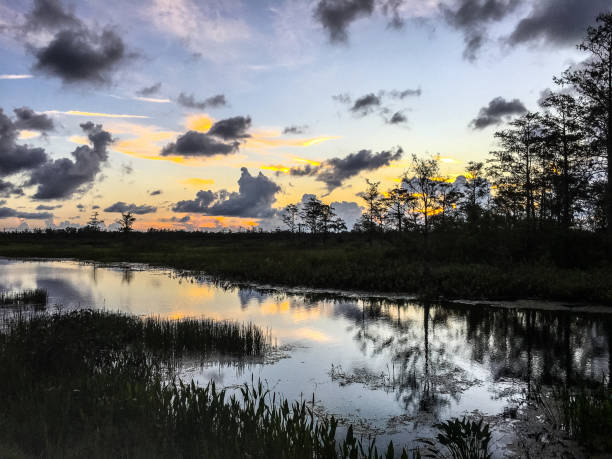 istock Reflection of vibrant sunset in a swamp 906810498