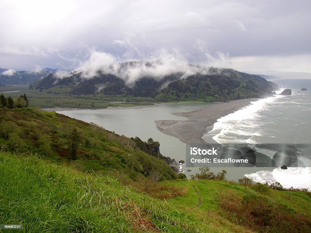 Tempête au rivers la bouche - Photo de Arbre libre de droits