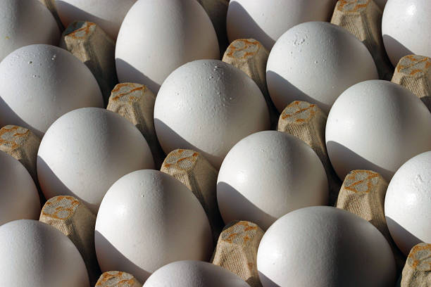 egg pattern stock photo
