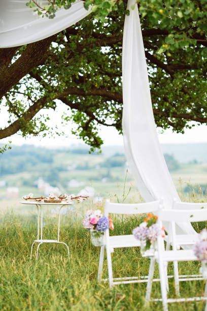 istock place for a wedding ceremony near a large tree 906815808