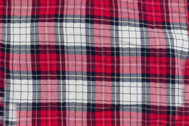 istock The background fabric in the big cellule 906818230