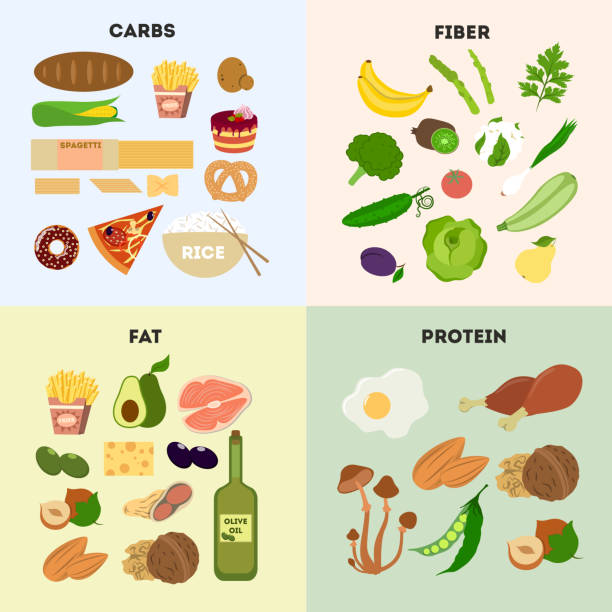 ilustrações, clipart, desenhos animados e ícones de grupos de alimentos saudáveis. - gordura nutriente