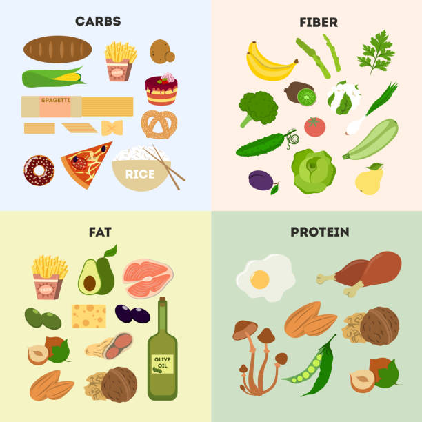 Healthy food groups. Healthy food groups. Protein and carbs, fat and fiber. fat nutrient stock illustrations