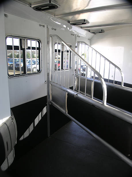 istock Horses Travel with Style in Trailers Like This! 90682521