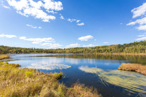 istock Autumn forest and lake scenery 906828658