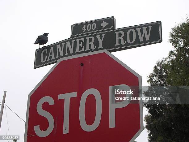 A Cannery Row Road Y Señal De Pare De Pájaro Foto de stock y más banco de imágenes de Acera - Acera, Aire libre, Alerta