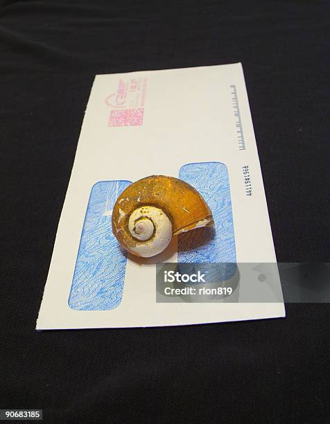 Foto de Caracol Mail e mais fotos de stock de Caracol - Caracol, Carta - Documento, Computador