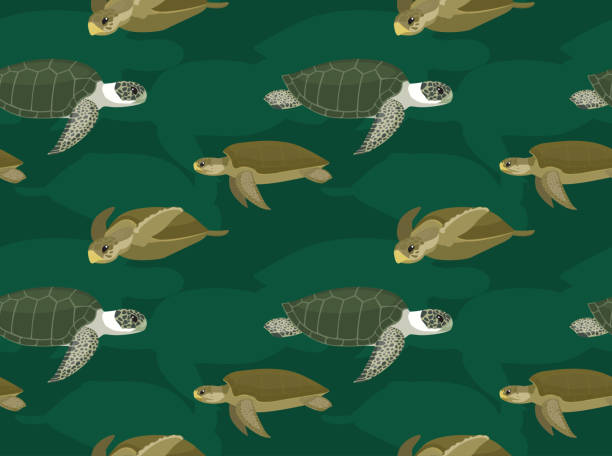 Sea Turtle Flatback Cartoon Seamless Wallpaper Animal Wallpaper EPS10 File Format pacific ridley turtle stock illustrations