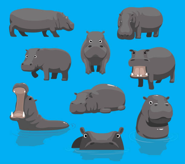 бегемот зевая симпатичный мультфильм вектор иллюстрация - hippopotamus stock illustrations