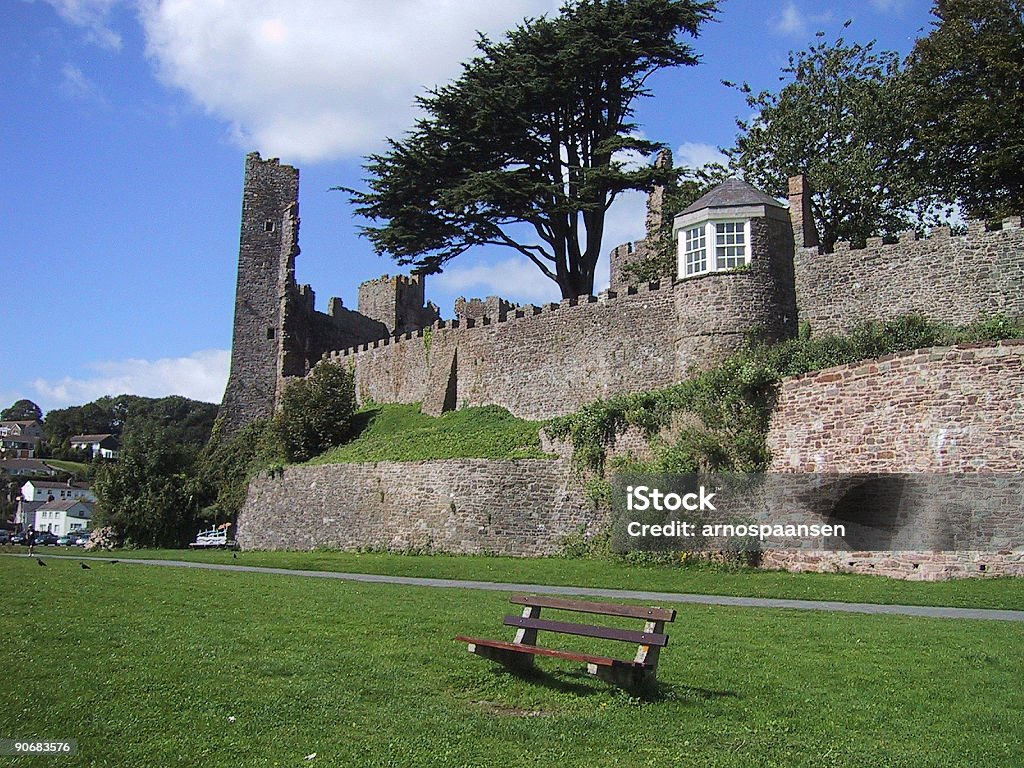 Ruines du château du Pays de Galles - Photo de Arbre libre de droits