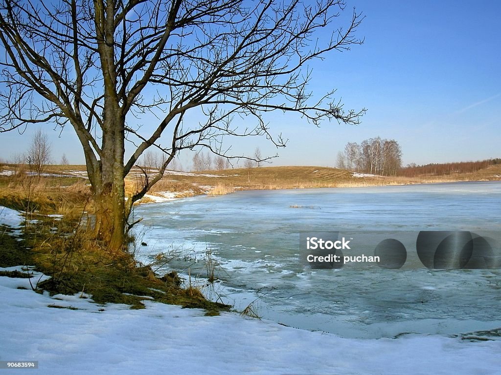 冬の終わり - カラー画像のロイヤリティフリーストックフォト