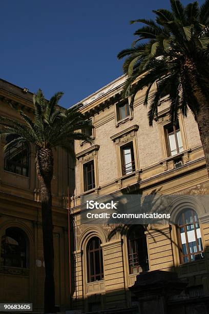 Palms Shadow Play Stock Photo - Download Image Now - Architecture, Brick, Color Image