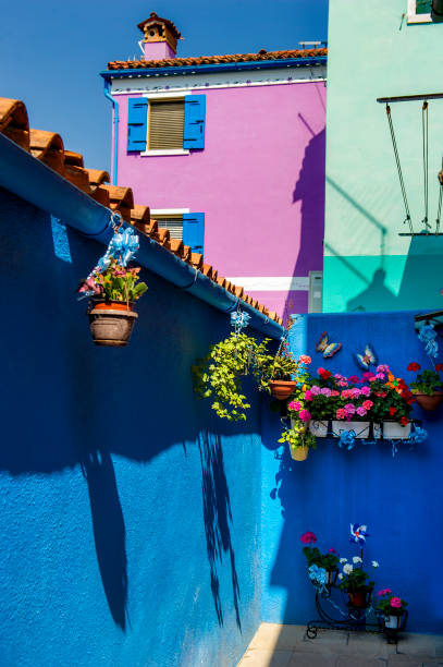 istock Burano Island, venice, Italy 906839552