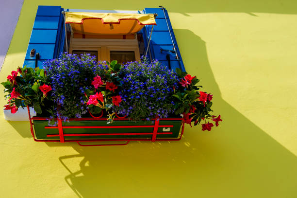istock Burano Island, venice, Italy 906840748