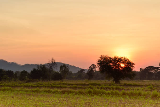 istock Image of farmland in Thailand 906841526