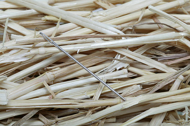 Digging Needle Hay Stack 480+ Needle In Haystack Photos Stock Photos, Pictures & Royalty-Free ...