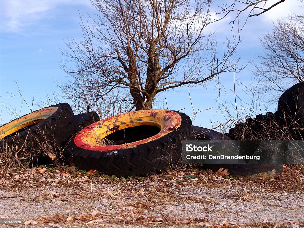 Tires Rotted y árbol seco - Foto de stock de Adicto libre de derechos