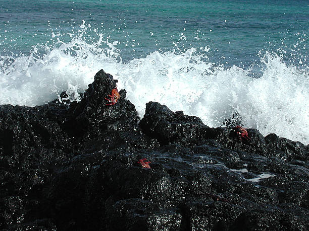 Fale ulega awariom na Lava Rocks – zdjęcie