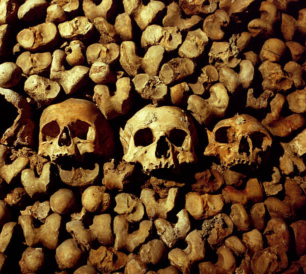 skulls humano e ossos - fotografia de stock