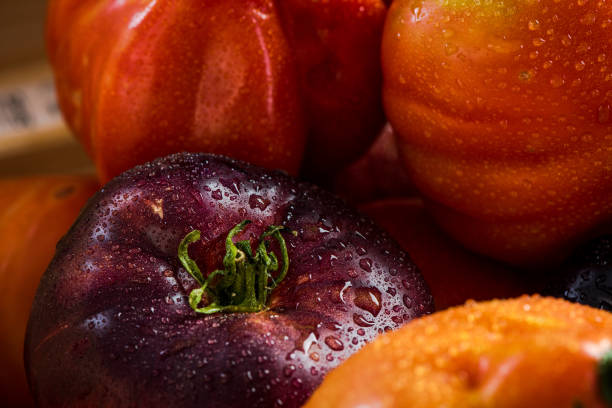 close-up em tomates frescos e maduros de mercado - healthy eating food and drink soup ripe - fotografias e filmes do acervo