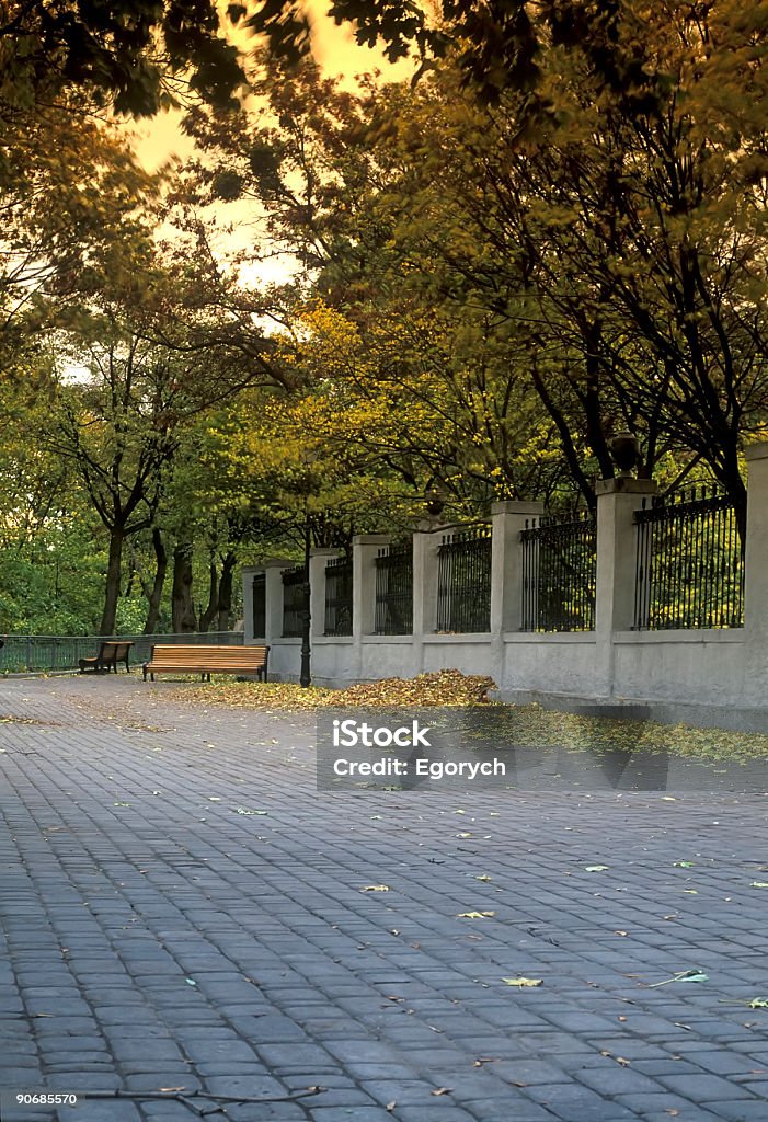 Park - Foto de stock de Arbusto royalty-free