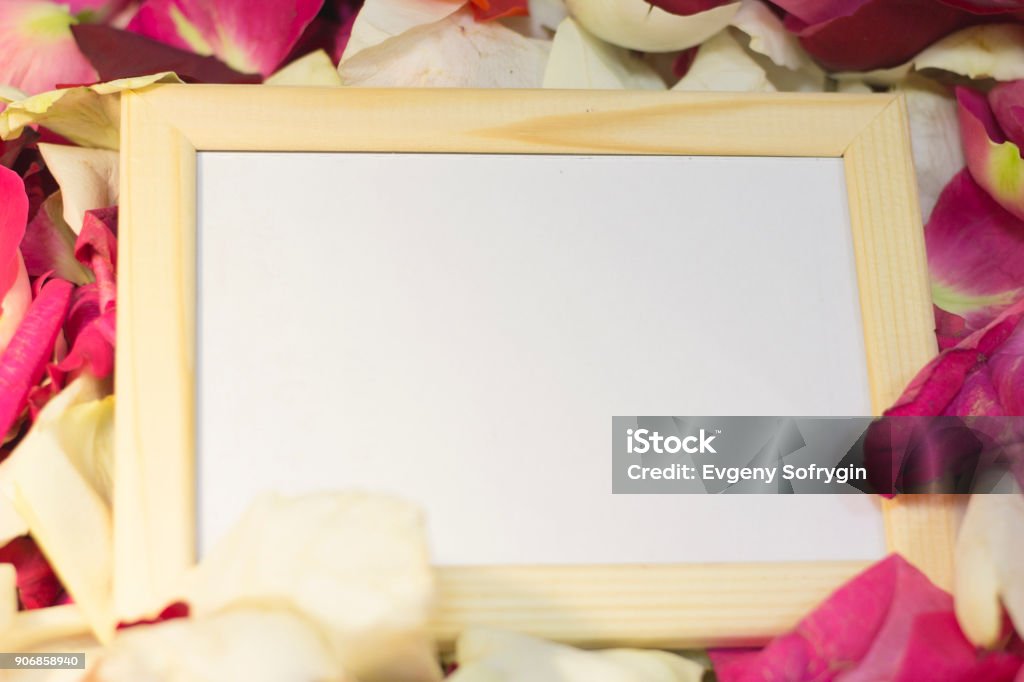 The concept of holidays with rose petals The concept of Love, Wedding, Proposal, Anniversary, St. Valentine's Day with a wooden photo frame on red, pink and white rose petals, close up Abstract Stock Photo