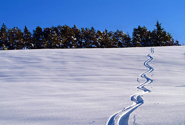 samotny trace_65 - ski trace zdjęcia i obrazy z banku zdjęć