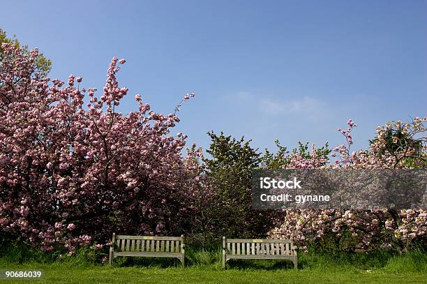 2 個の空の公園のベンチ - カラー画像のストックフォトや画像を多数ご用意 - カラー画像, パークベンチ, ベンチ